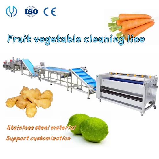 Food Grade Vegetable Cutting Washing Dehydrating Packing Line Fresh Salad Machine Fruit&Vegetable Production