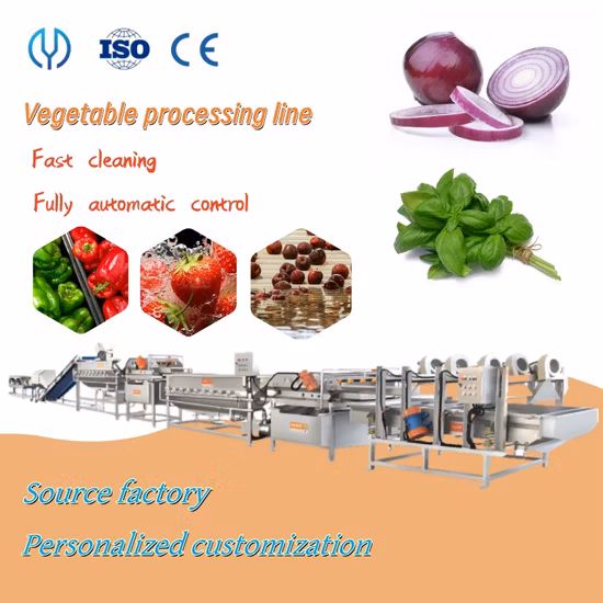 Food Grade Vegetable Cutting Washing Dehydrating Packing Line Fresh Salad Machine Fruit&Vegetable Production