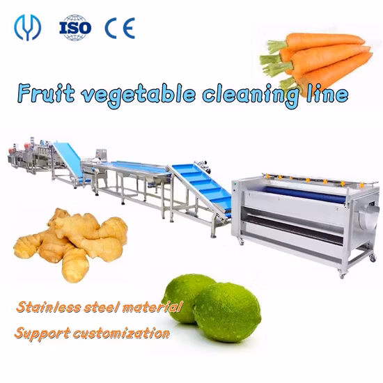 Food Grade Vegetable Cutting Washing Dehydrating Packing Line Fresh Salad Machine Fruit&Vegetable Production