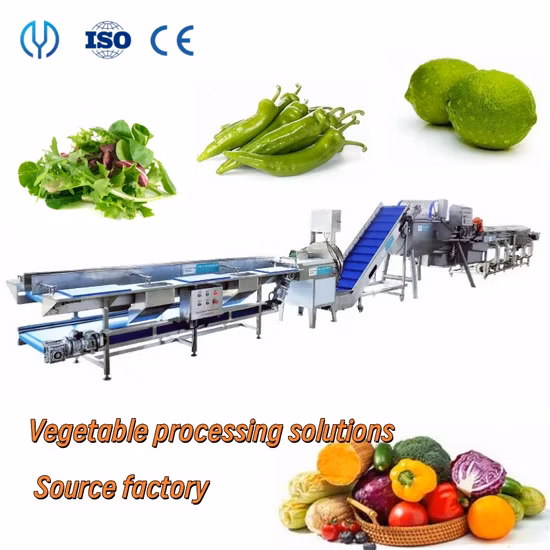 Food Grade Vegetable Cutting Washing Dehydrating Packing Line Fresh Salad Machine Fruit&Vegetable Production
